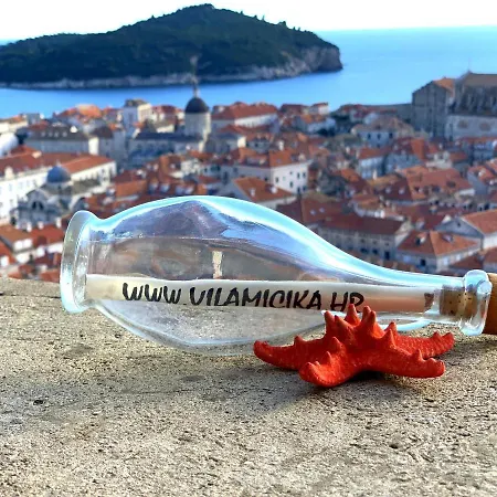 Micika Gostinjska kuća