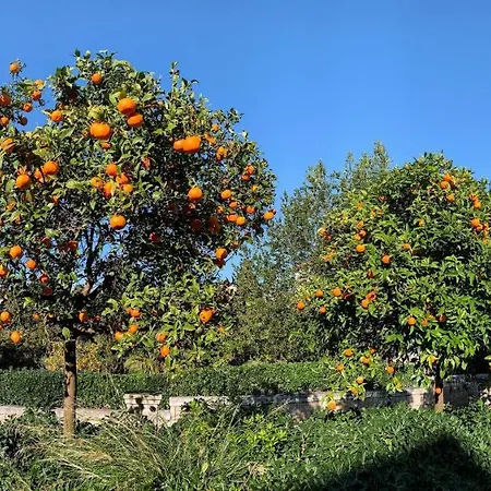 Gostinjska kuća Micika