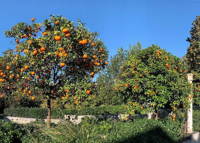 Maison d'hôtes Micika