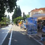 Micika دوبروفينك